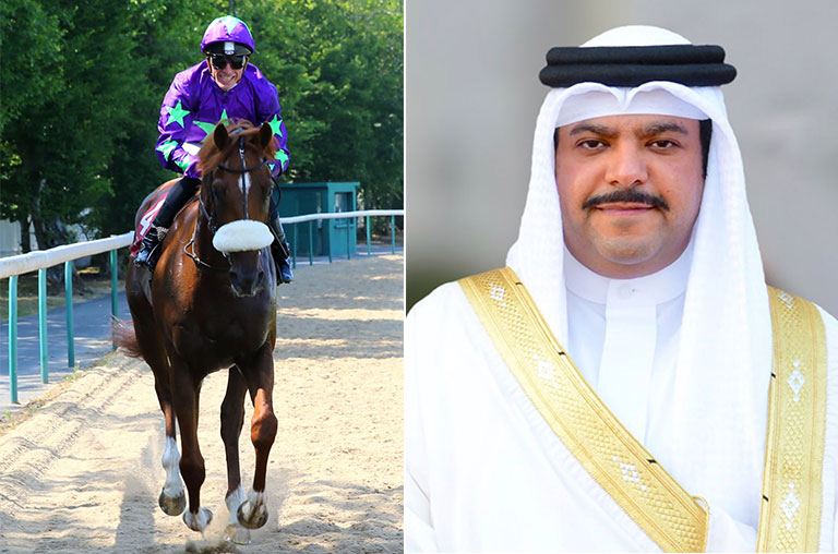 Rashid Equestrian & Horseracing Club 