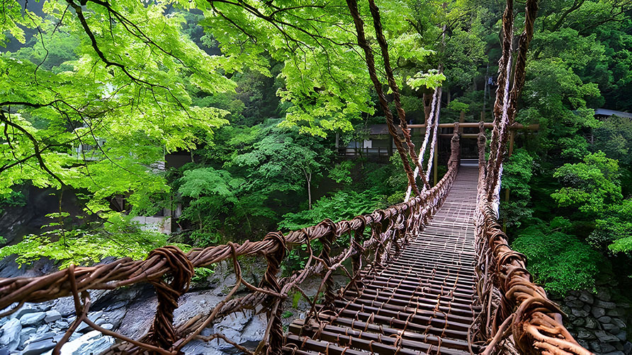 Iya Valley vine bridge over a gorge in Shikoku