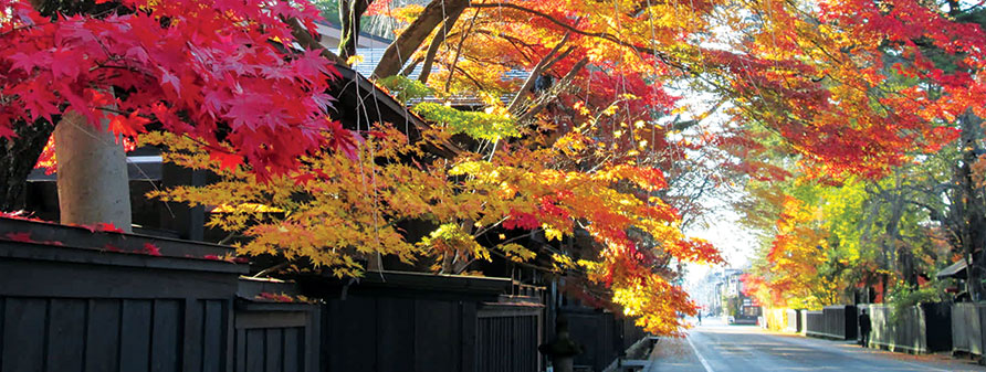Kakunodate samurai houses and tree-lined streets in Akita