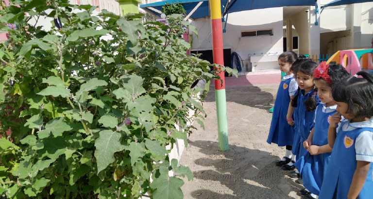 Outdoor physical activities for kindergarten children in Bahrain