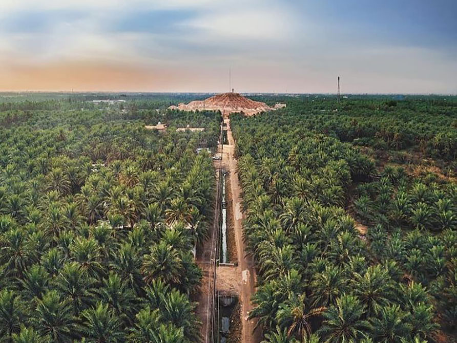 Al Ahsa Oasis and date palms in eastern Saudi Arabia