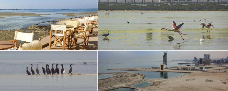 Bahrain water sustainability and marine conservation