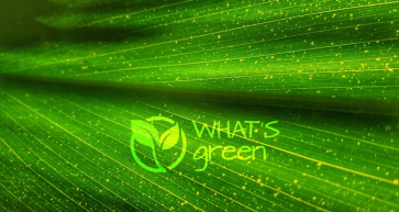 What’s Green - December 2019