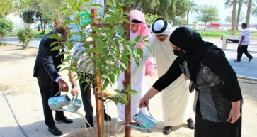 Over 50,000 Trees to be Planted in Bahrain