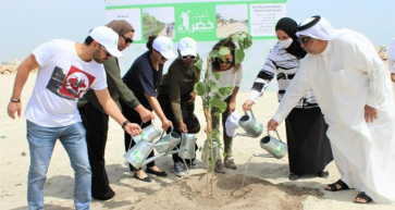 Bahrain: 240 Trees Planted in Muharraq