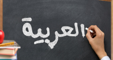 Habibi, Learn Arabic!